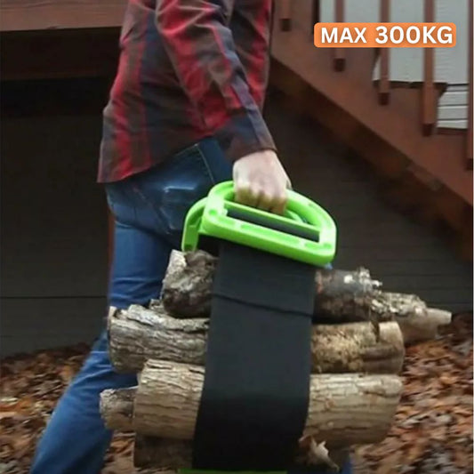 EasyCarry - Movimentação de Carga Inteligente